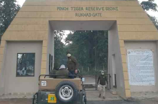 Pench National Park, Chhindwara, Madhya Pradesh - Vushii.com